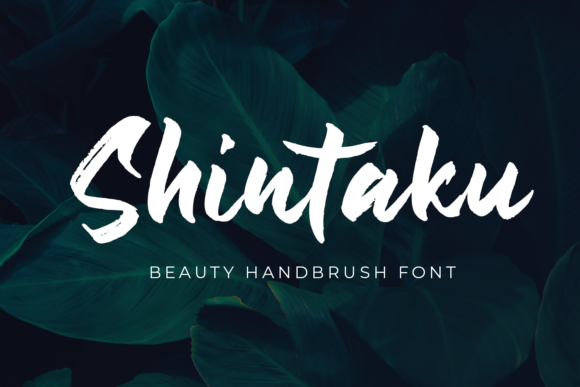 Shintaku Font - Featured Image
