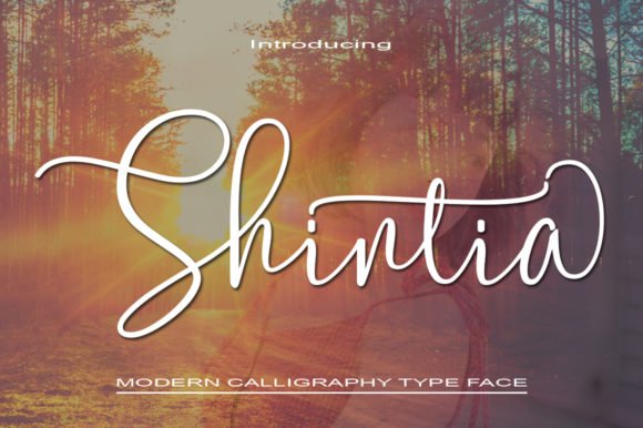 Shintia Font - Featured Image