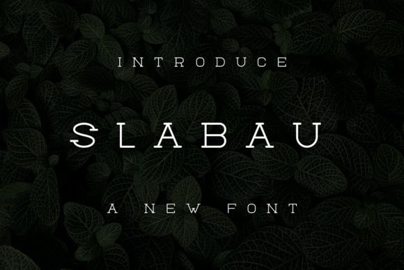 Slabau Font - Featured Image