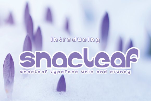 Snackleaf Font - Featured Image